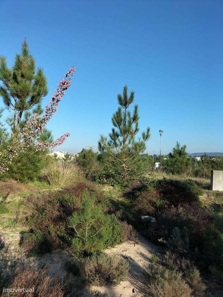 Terreno Urbano - Grande imagem: 3/7