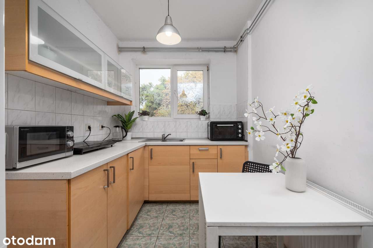 Jasny pokój w top lokalizacji - willa z ogrodem przy parku - Pełny obrazek: 4/8