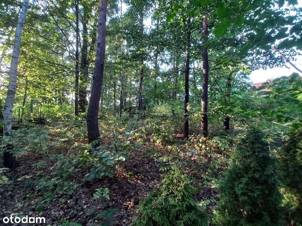 Willa z lat 80-tych na działce z lasem, negocjacje-13