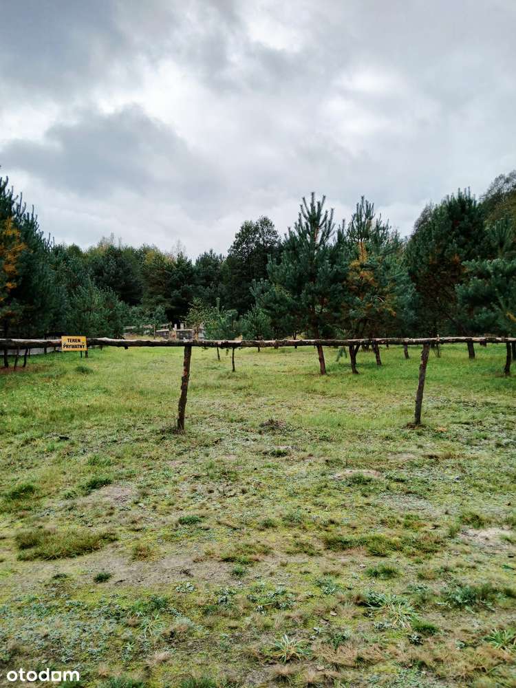 Dziaka rekreacyjna w otulinie lasu - Pełny obrazek: 3/10