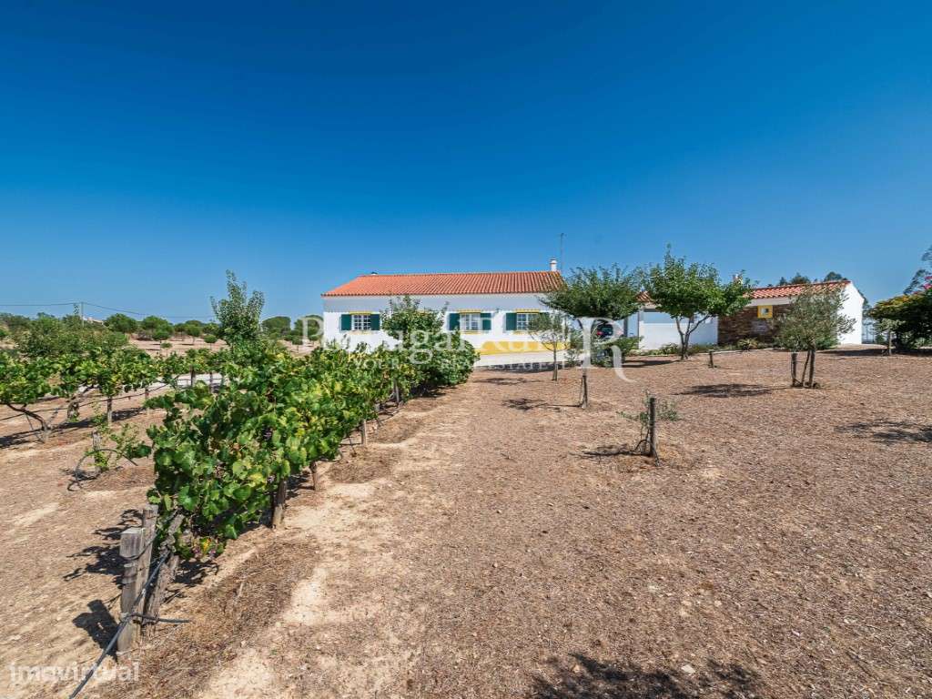 Monte Alentejano T4 com Terreno de 4,4 Hectares - Grande imagem: 5/48