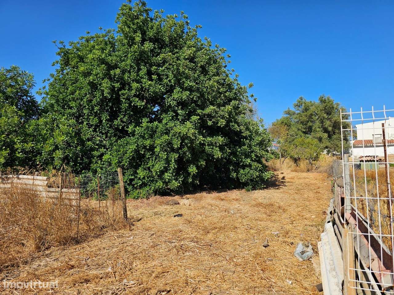 Terreno Rústico| São Clemente| Loulé - Grande imagem: 4/28