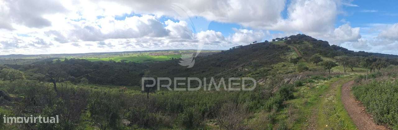 Vende-se Herdade – 34 Hectares - Grande imagem: 2/5
