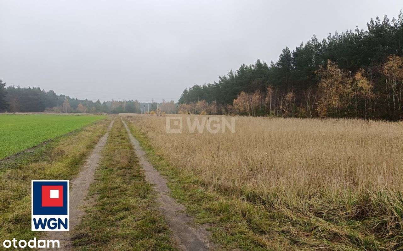 Działka, 9 m², Borki-1