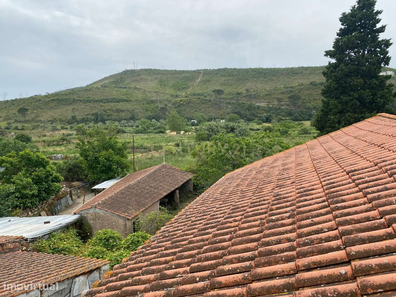 20 Min. de Coimbra | Casas Senhoriais Início Sec XIX + Terreno 4100m2 - Grande imagem: 5/54