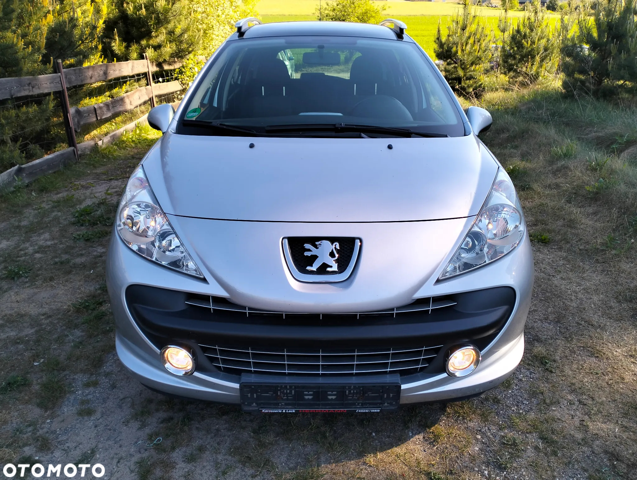 Peugeot 207 - 11