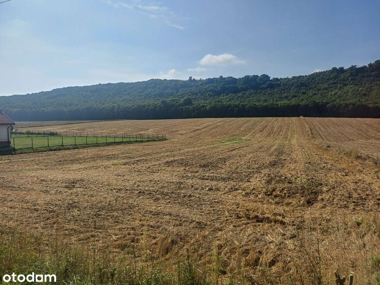 Klonów, gmina Racławice - piękne działki budowlane na sprzedaż-4