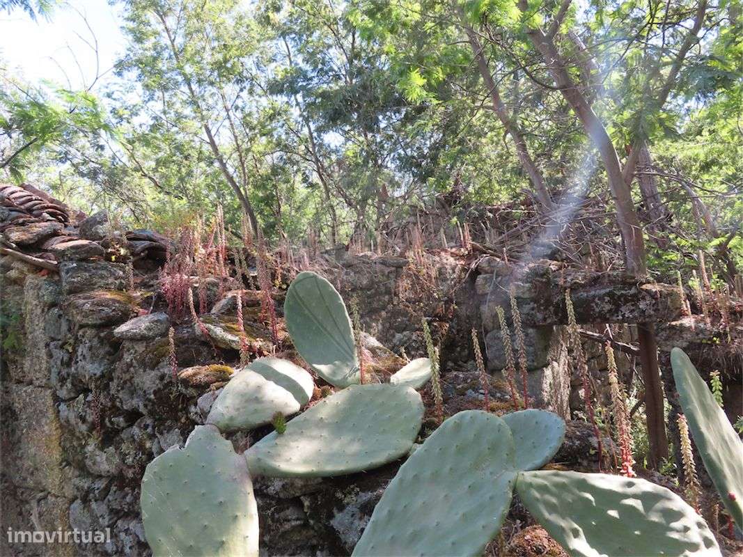 Quinta  para venda - Grande imagem: 5/19