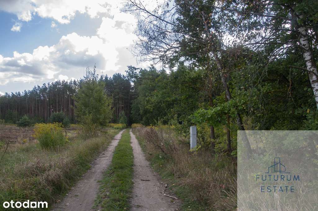 Działki budowlane na sprzedaż - Skrybicze-5