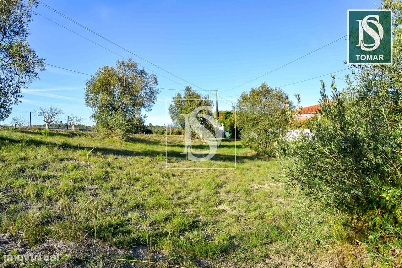 Terreno  Venda em Tomar (São João Baptista) e Santa Maria dos Olivais,-16