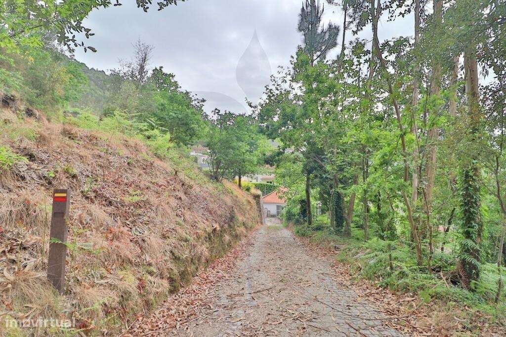 Quintinha em Escudeiros c/ aprox 3.200m2 e duas casas-28