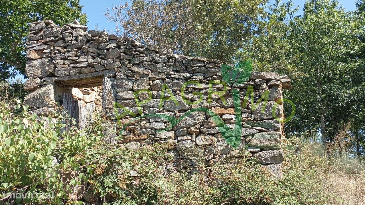 Terreno rústico "Linhares" em Penela da Beira, Penedono - Grande imagem: 4/21