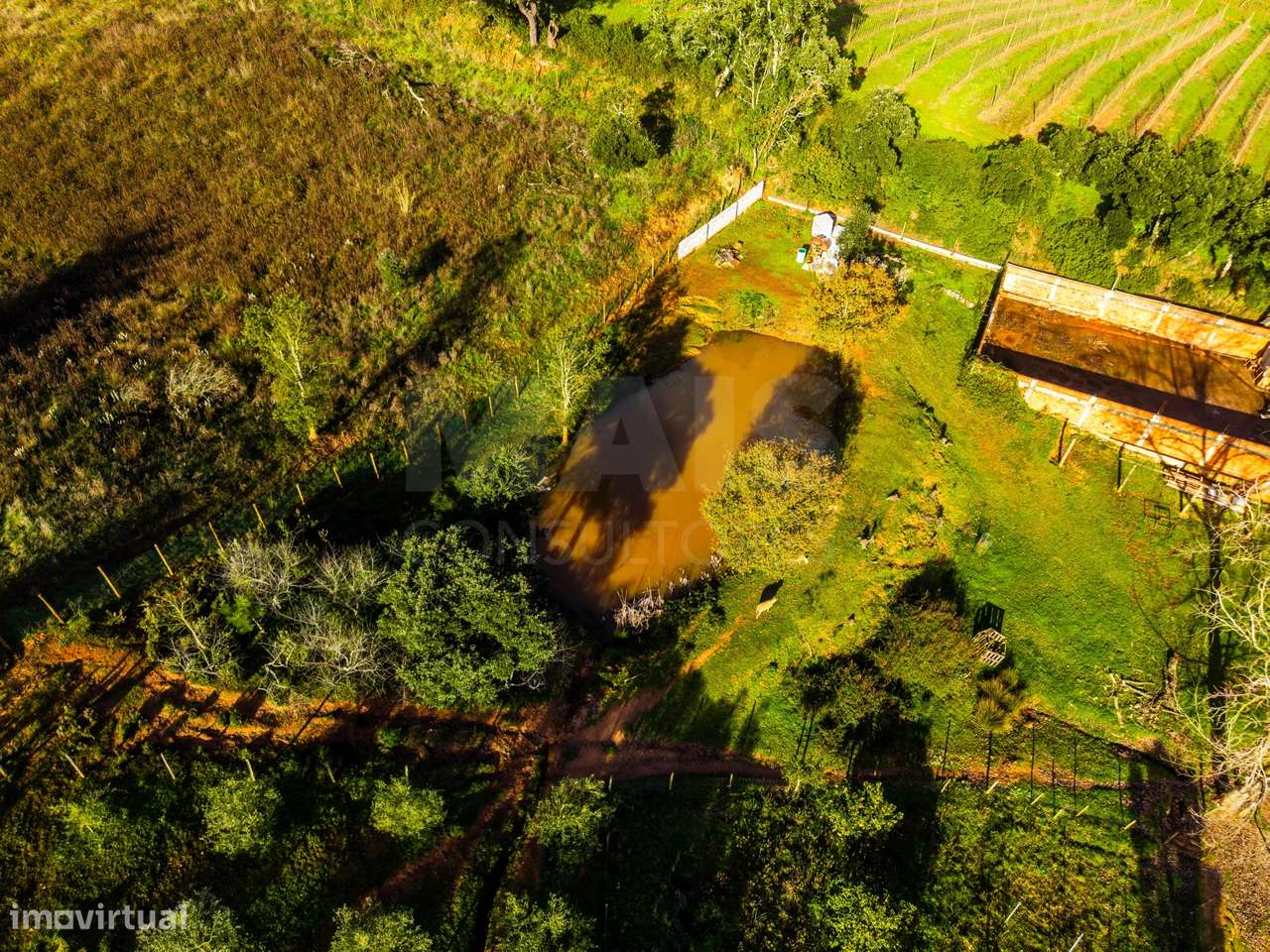 Moradia em ruínas num terreno de 10.699m2-4