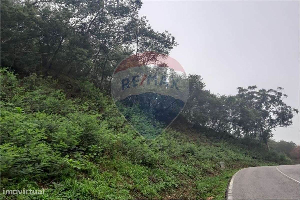 Terreno para construção em Antanhol - Grande imagem: 3/4