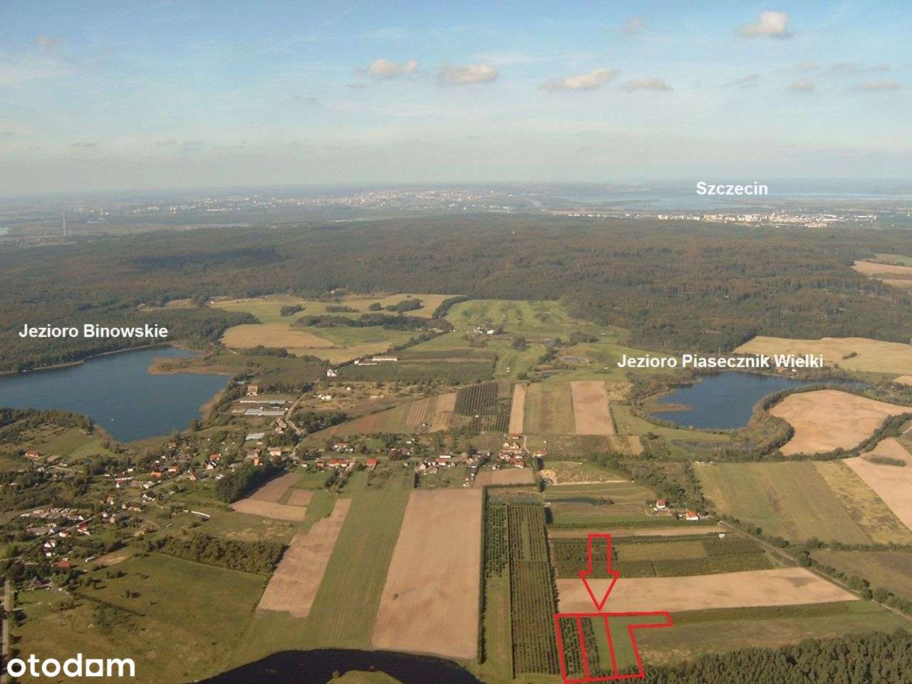 Binowo - obszar pod budowę domu mieszkalnego. - Pełny obrazek: 4/5