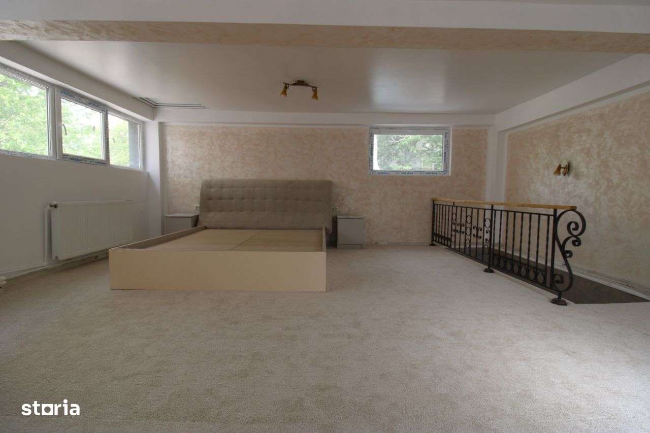 Spatiu comercial in I C Frimu - Imagine principală: 4/6