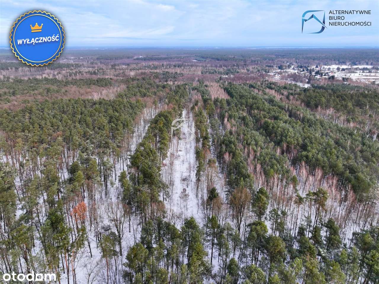 Teren inwestycyjny - Lasy Kozłowieckie - Nowy Sta - Pełny obrazek: 5/13