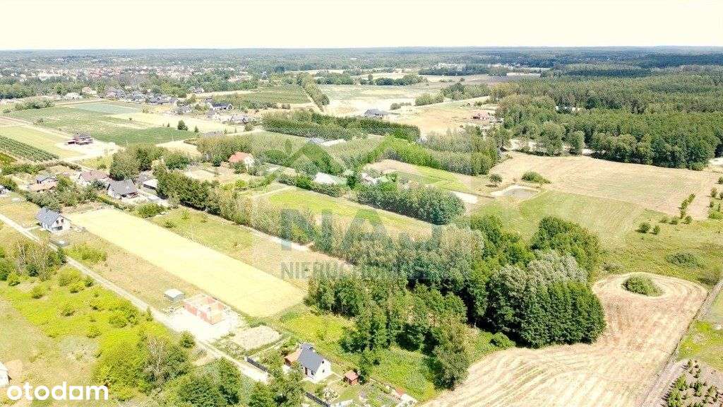 Działka wśród drzew w Kurianach-7