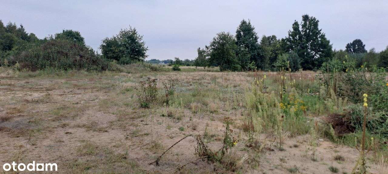 Działka budowlana na sprzedaż Lasowice - Pełny obrazek: 5/7