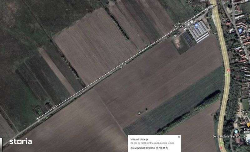 Teren agricol 6000mp Beharca (Cotofenii din Fata) - proprietar - Imagine principală: 5/7