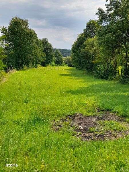 Teren intravilan - Imagine principală: 4/8