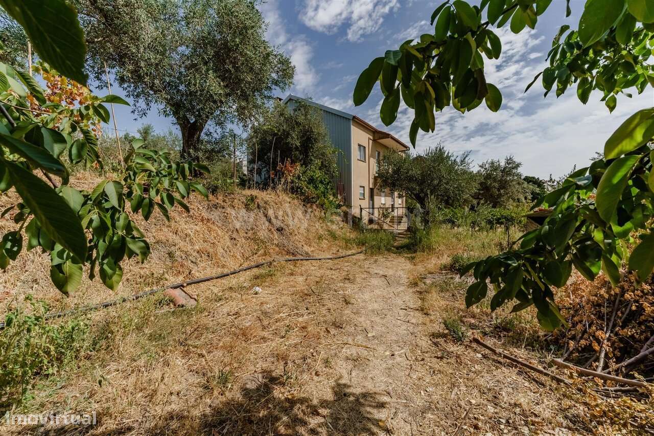 Terreno / Covilhã, Tortosendo-4