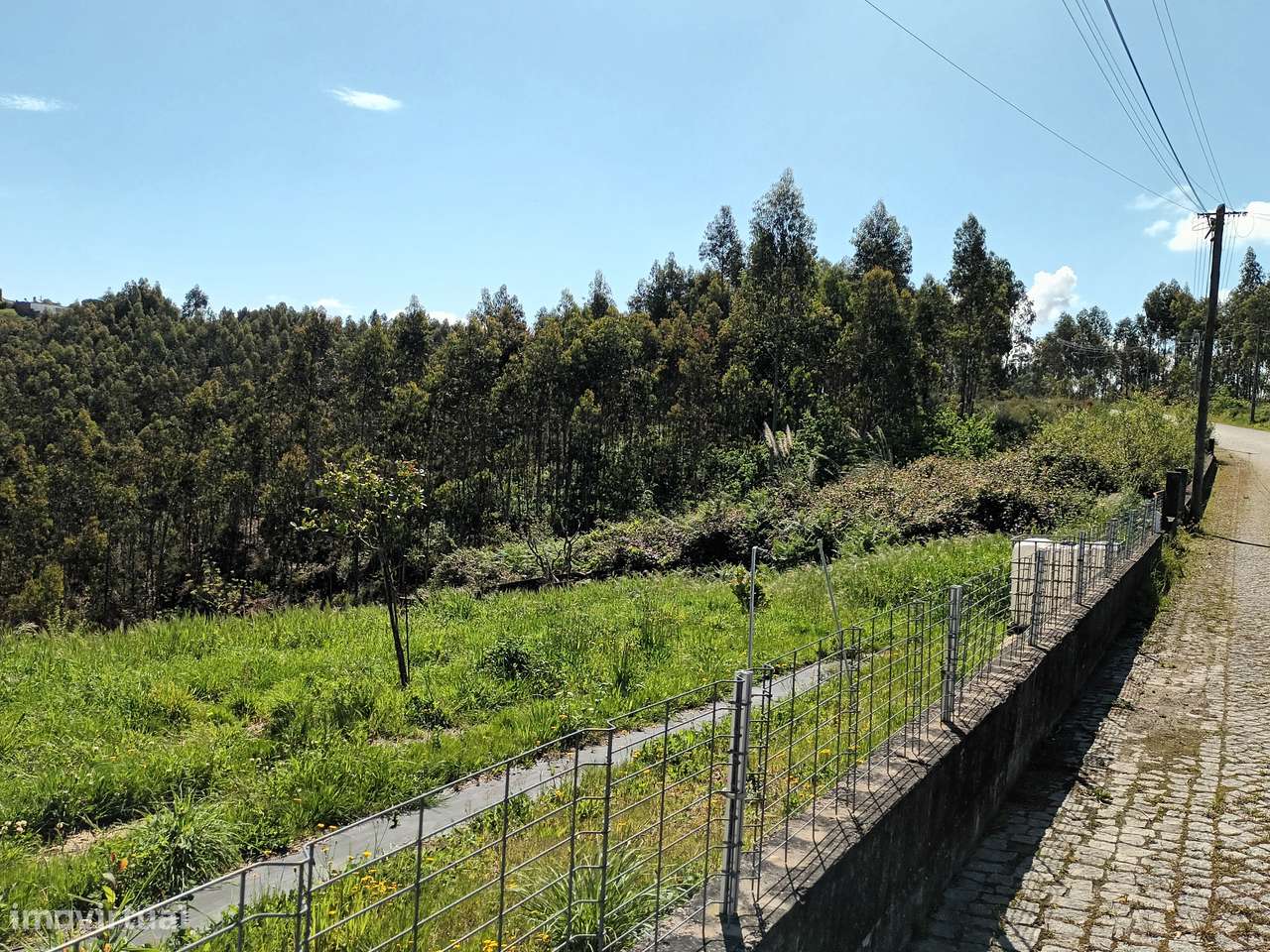 Terreno em Folgosa da Maia-10