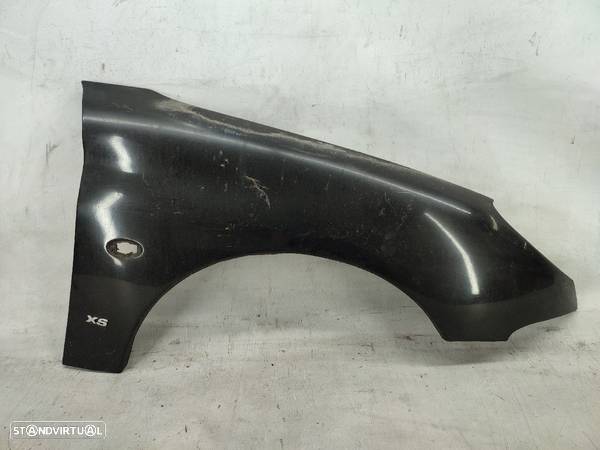 Guarda Lamas Drt Direito Peugeot 206 Hatchback (2A/C) - 1