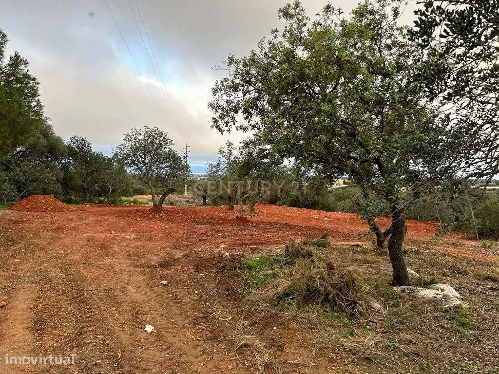 Terreno 14520m2 em Falfosa , Faro - Grande imagem: 1/4