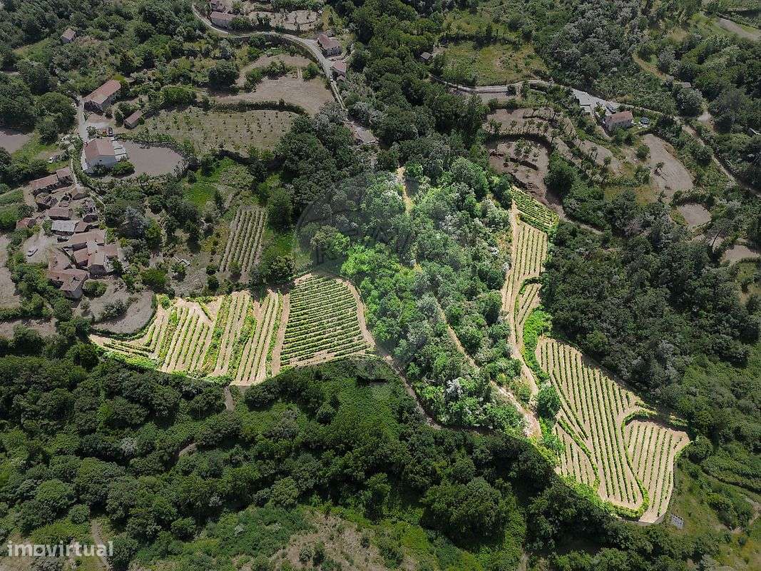 Quinta  para venda - Grande imagem: 4/23