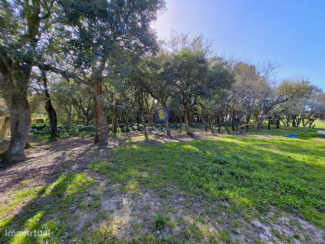 Terreno urbano com 15.867 m2 em Cela, Alcobaça,  e ruína de 336,30 m2-19