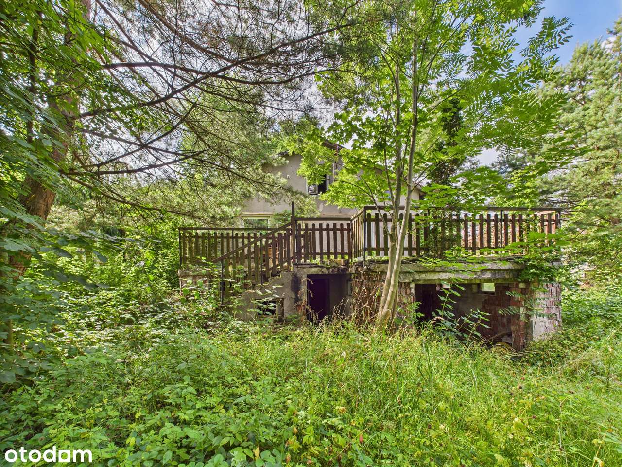 Zielona Działka z Własnym Źródłem i Stawem w Świetnej Lokalizacji!-9