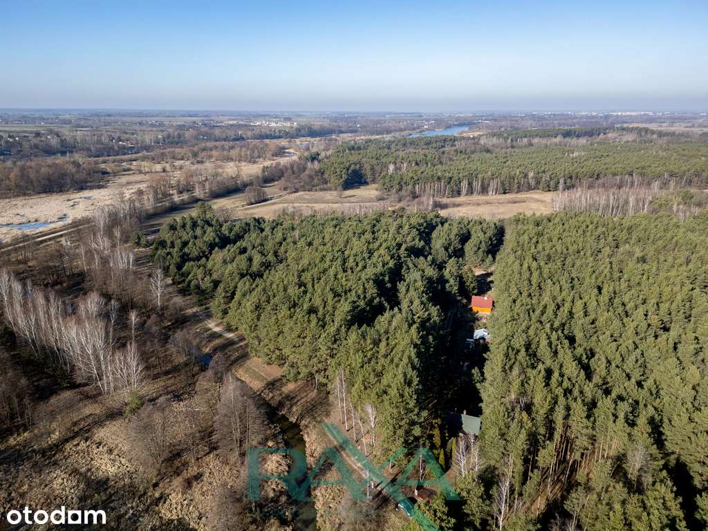 Letniskowa w środku lasu, blisko Narew | Wawa 1h - Pełny obrazek: 5/9