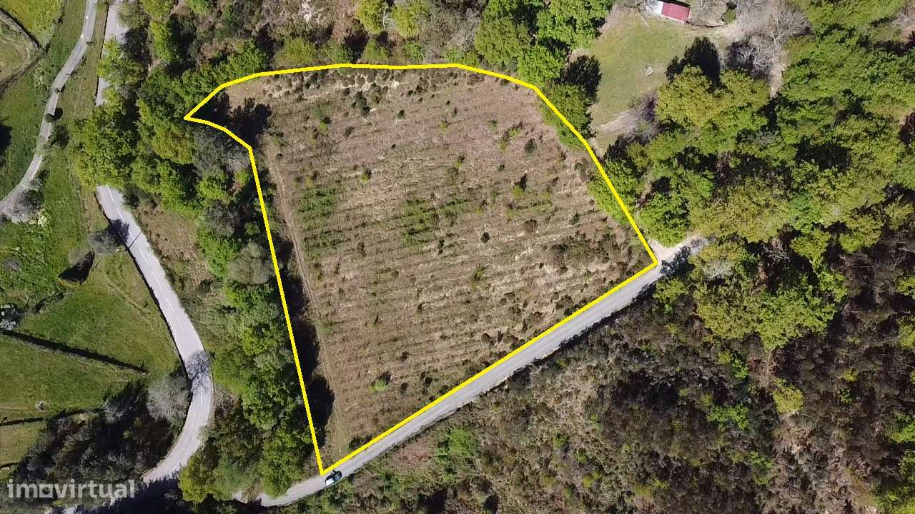 Terreno – Vouzela-17