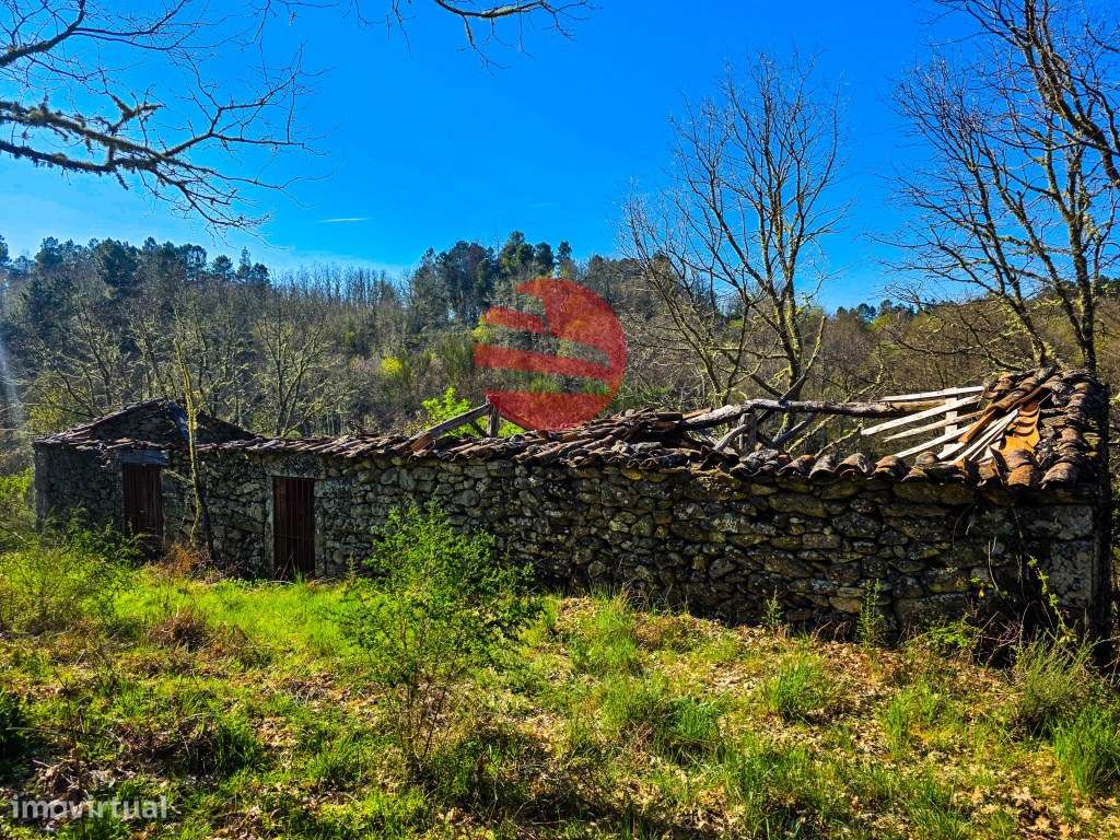 MOINHOS DE CEREAIS - Grande imagem: 5/13