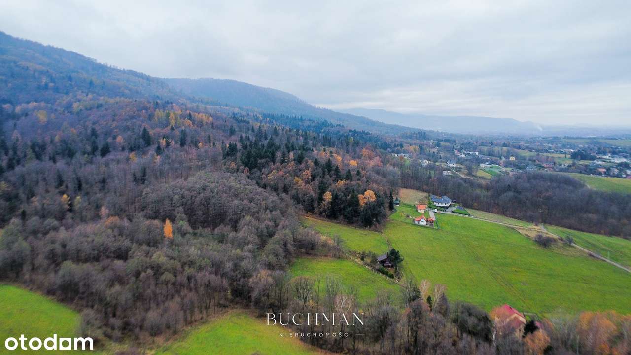87 ar + Domek pod lasem z możliwością rozbudowy  - BEZ Prowizji-13