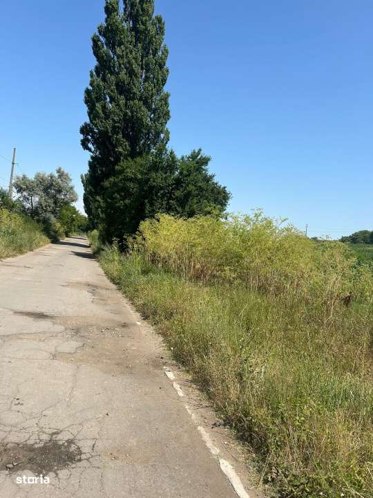 Teren intravilan, 5000 MP, Isalnita - Imagine principală: 2/2