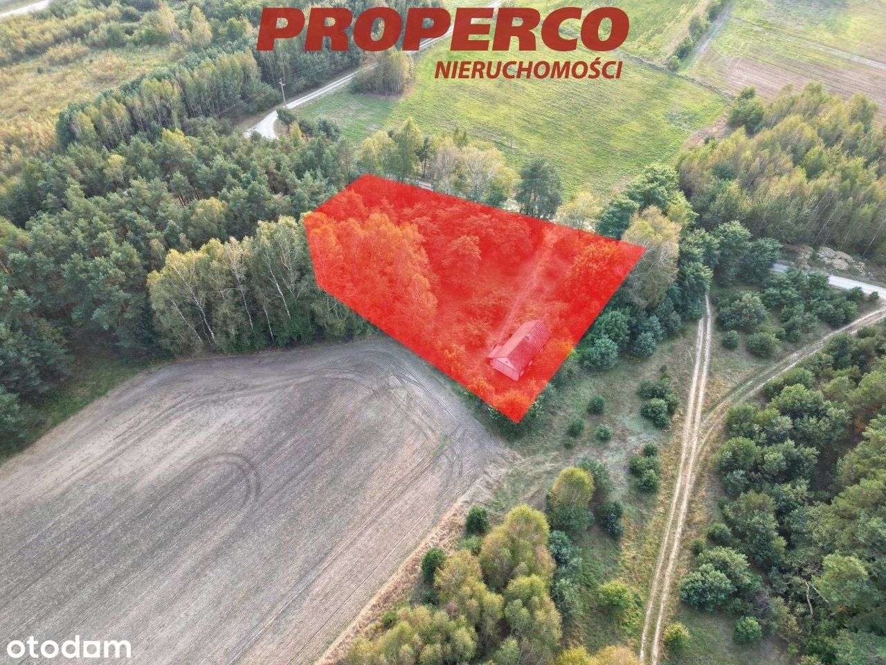 Dom, pow. ok. 80 m2, Promnik, gm. Strawczyn - Pełny obrazek: 5/16