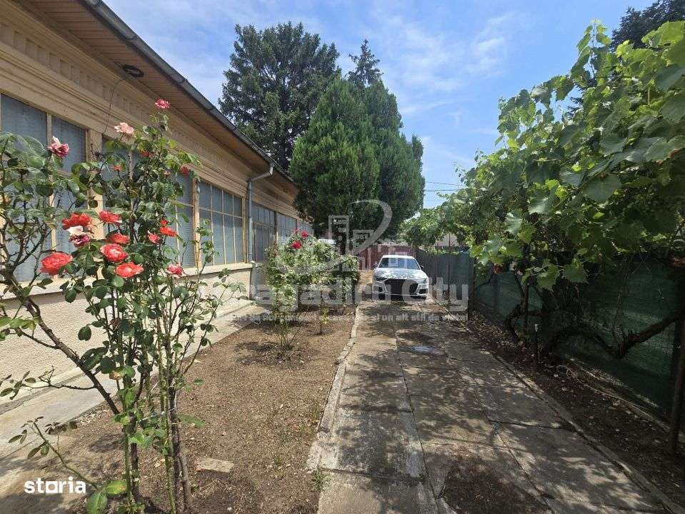 Casa pe parter Cornetu-7