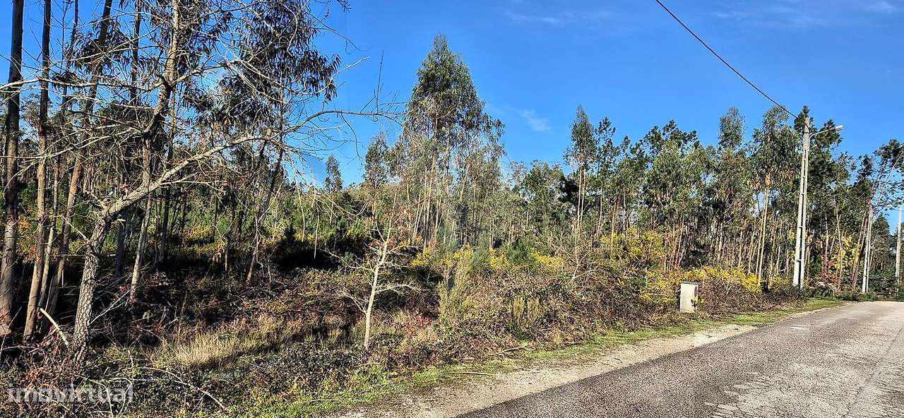 Terreno  para venda - Grande imagem: 4/8