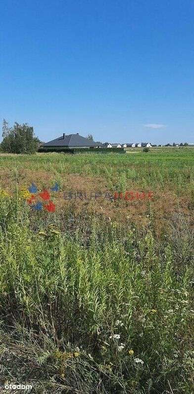 Działka inwestycyjna gmina Lesznowola-0