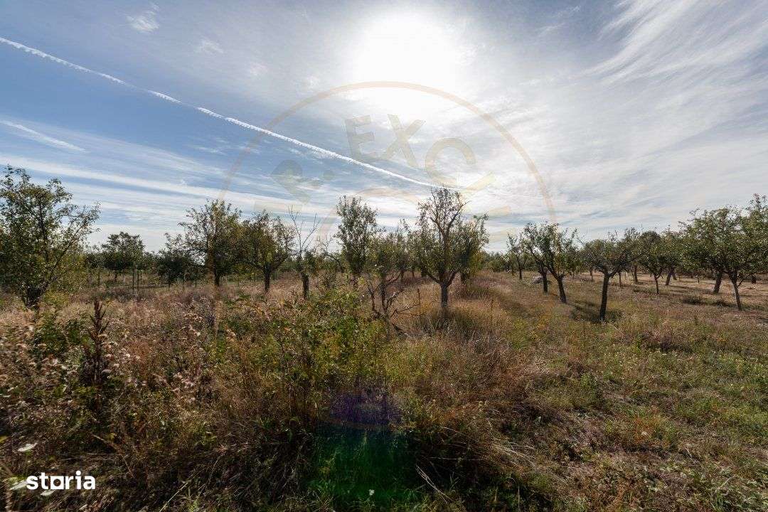 Teren 2.847 mp in comuna Cuca, AG - Imagine principală: 1/4