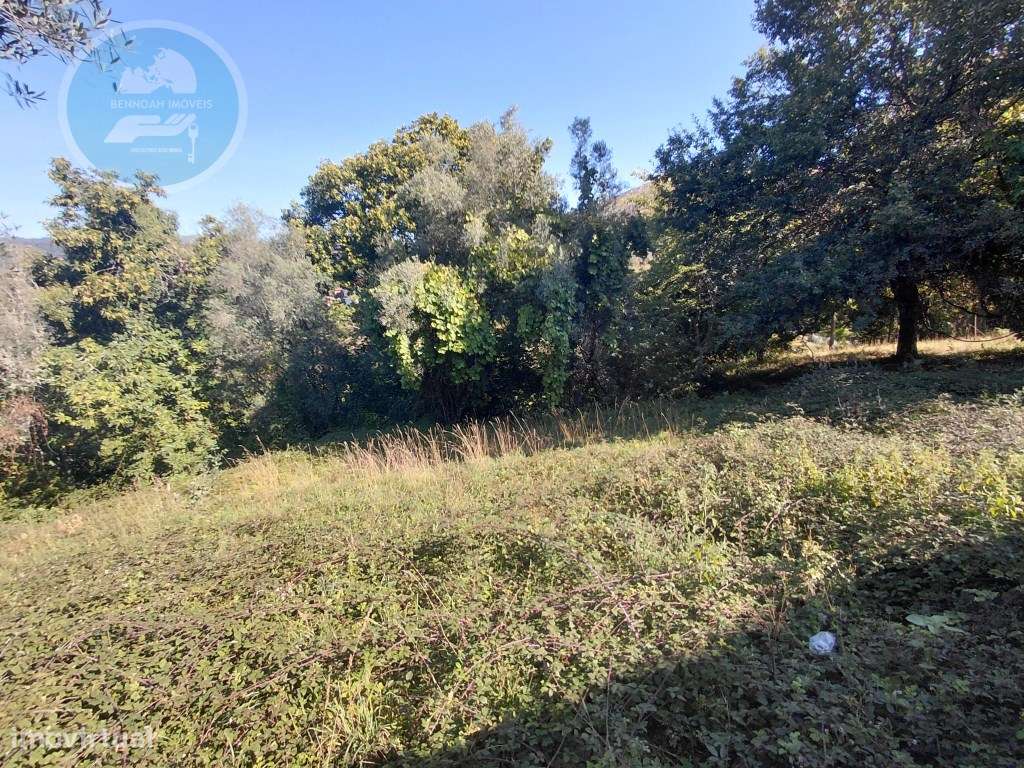 Casa Rústica em Pedra com Terreno para Restauro - Cambeses, Cabecei...-59