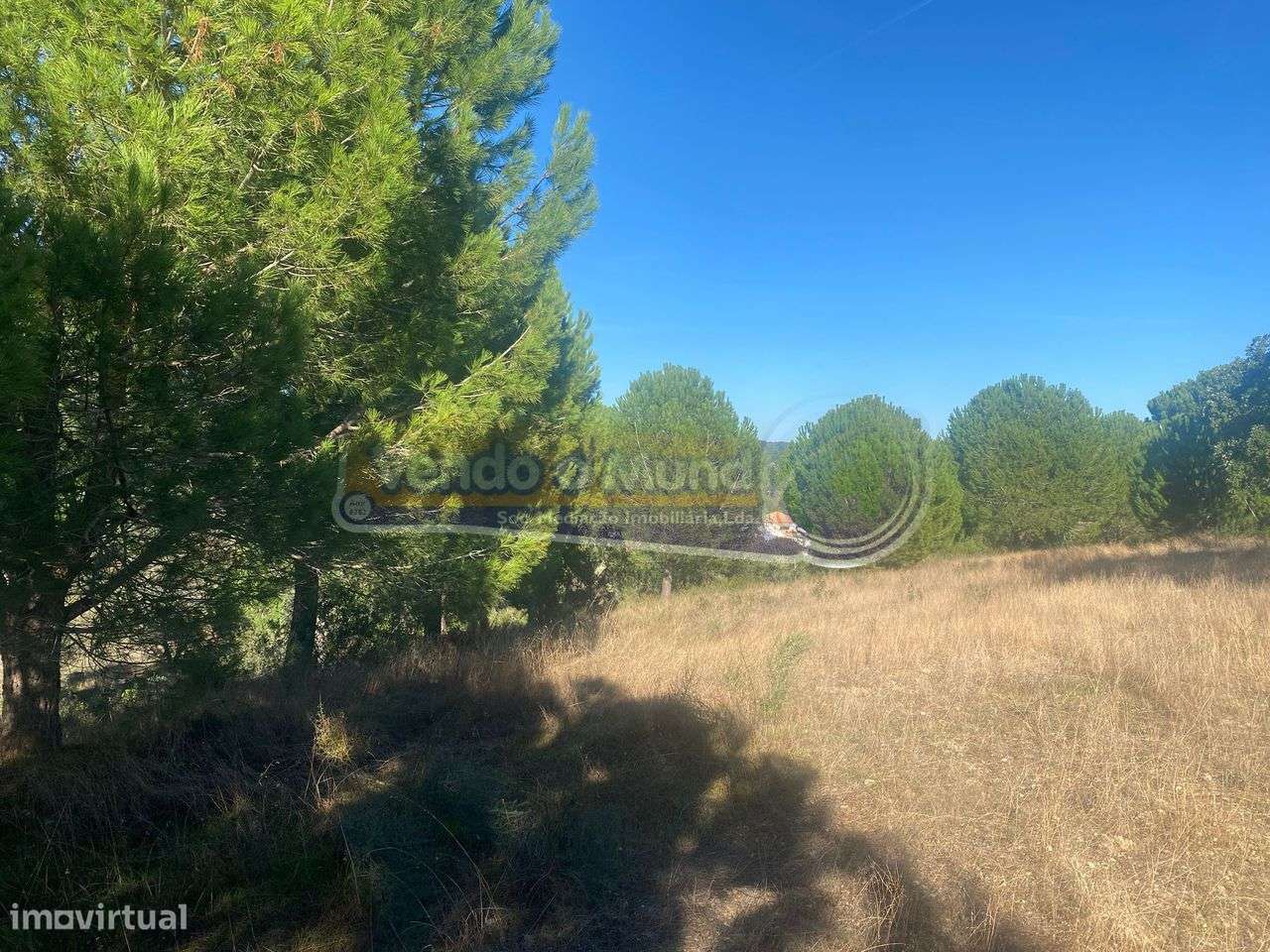 Terreno em Montargil (MTG002)-2