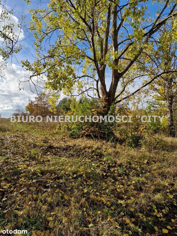 Działka, 2 178 m², Sławków-2