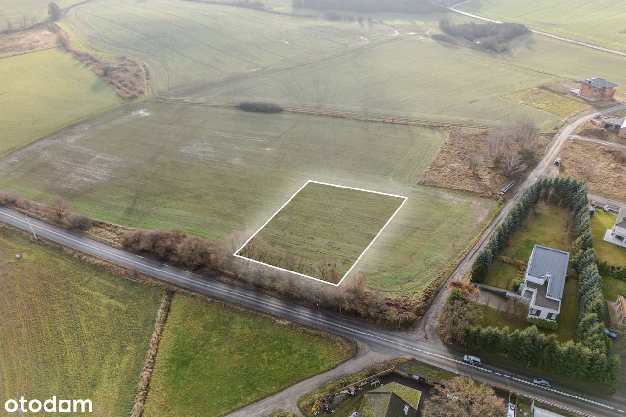 Duża ustawna działka budowlana na Morasku - 347 zł/m2 - Pełny obrazek: 5/11