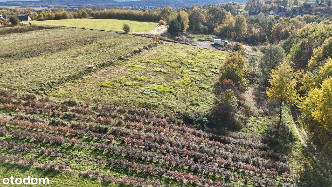 Gmina Czernichów, Rybna – 53 ary - Pełny obrazek: 4/7