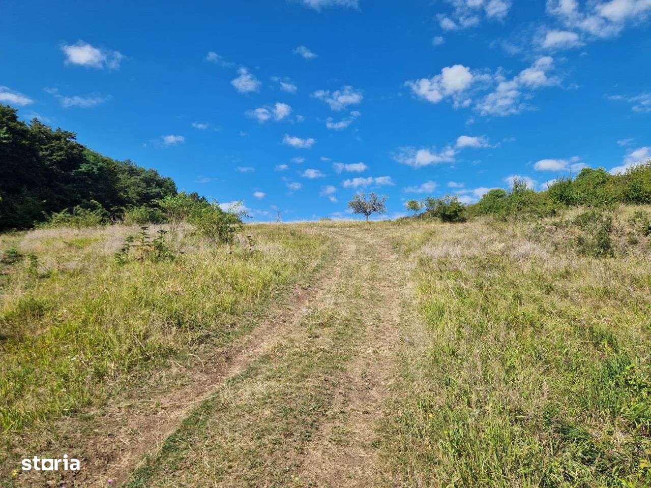 Teren 5800 mp extravilan in Suceagu ideal investitie - Imagine principală: 1/3