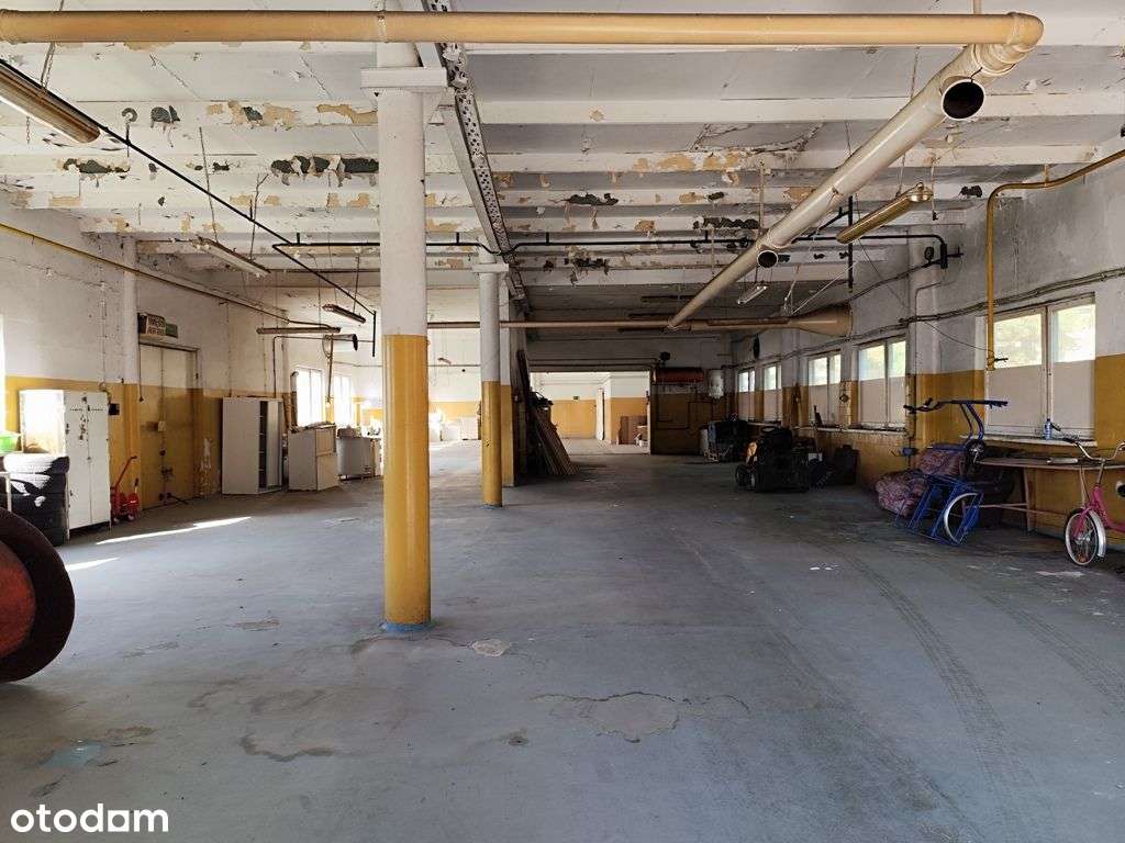 Zakład produkcyjno-magazynowy PU 5000m2 IGLOOPOL Brzesko-2