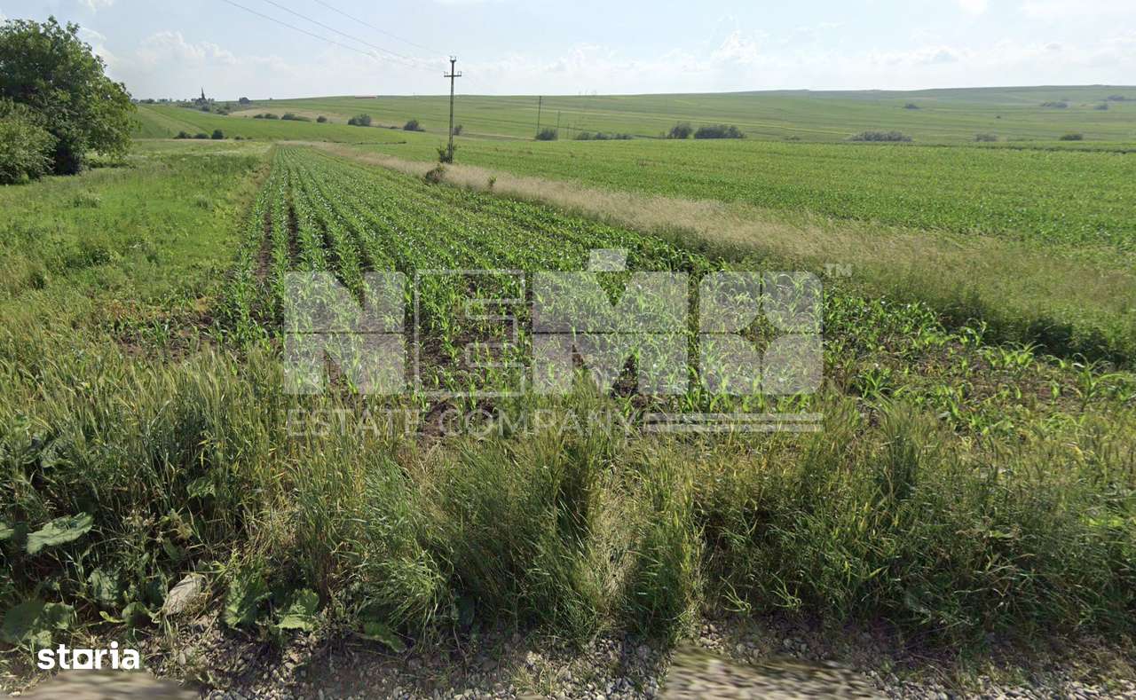 Teren intravilan 1.822 mp | Sfântul Ilie – UAT Șcheia | 145.000 € - Imagine principală: 3/3